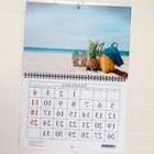 imprimir calendarios de pared